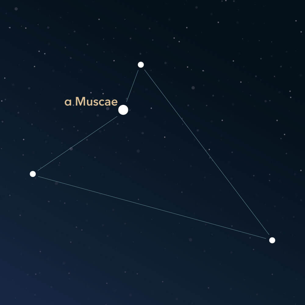 The constellation Musca