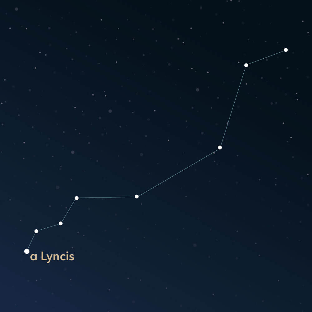The constellation Lynx