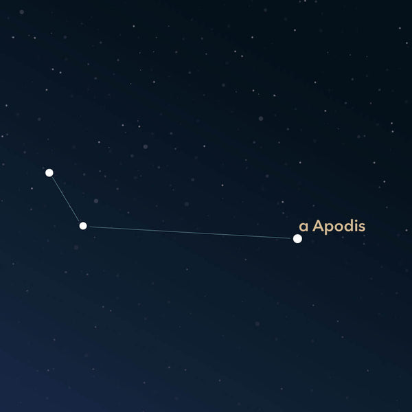 The constellation Apus