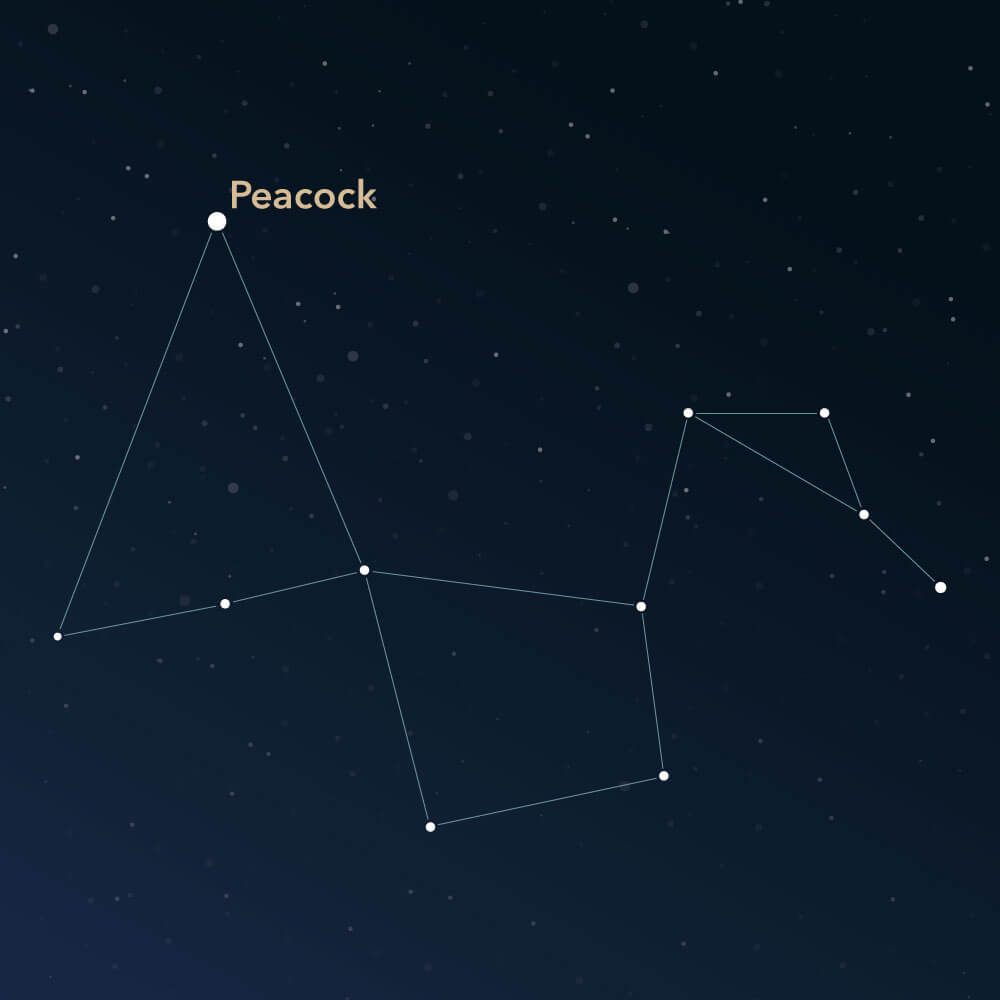 The constellation Pavo