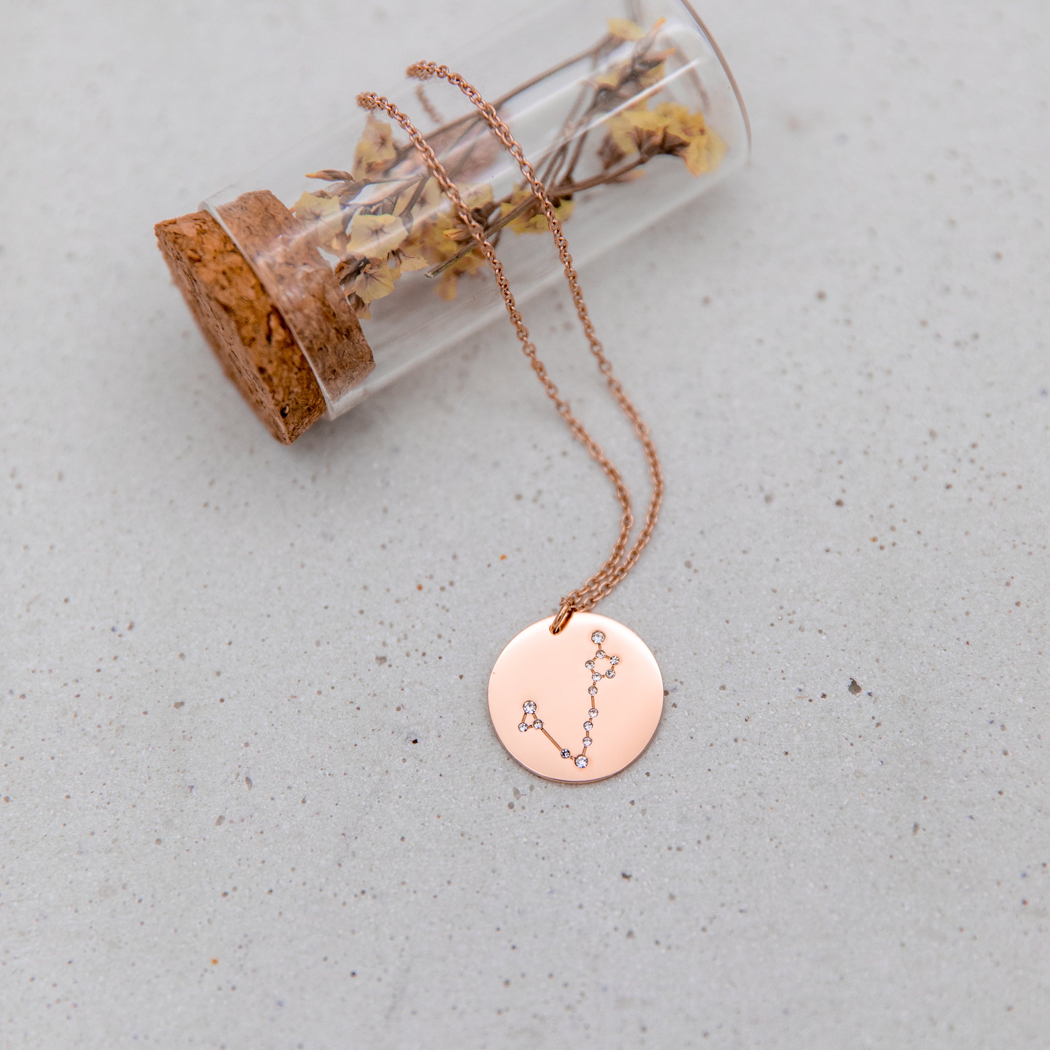 Star sales sign necklace
